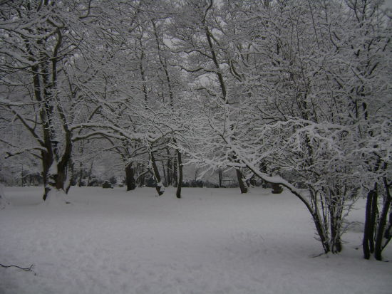 χιονισμένο τοπίο στον Άγιο Νικόλα της Νάουσας